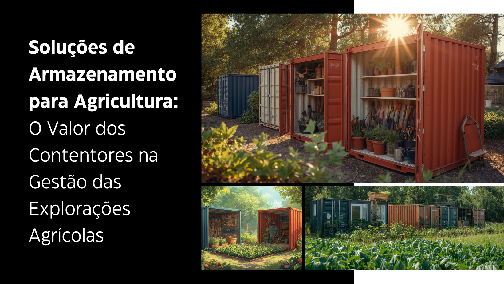 Soluções de Armazenamento para Agricultura: O Valor dos Contentores na Gestão das Explorações Agrícolas