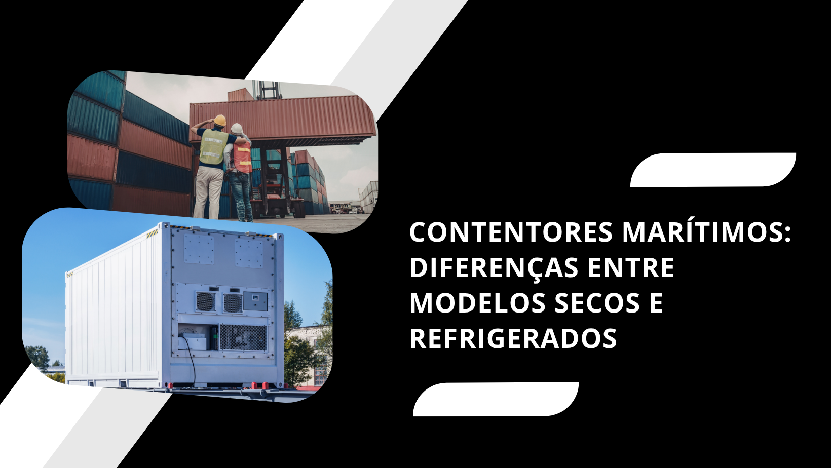Contentores Marítimos: Diferenças entre Modelos Secos e Refrigerados